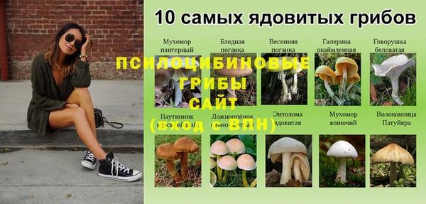 амфетамин Новозыбков