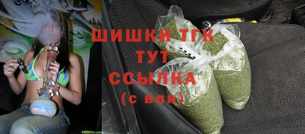 дмт Нягань
