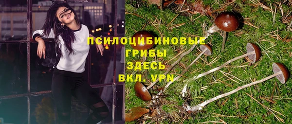mix Новодвинск