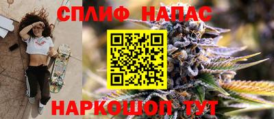 jwh Будённовск