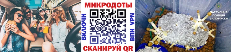 mega маркетплейс Качканар Галлюциногенные грибы мицелий