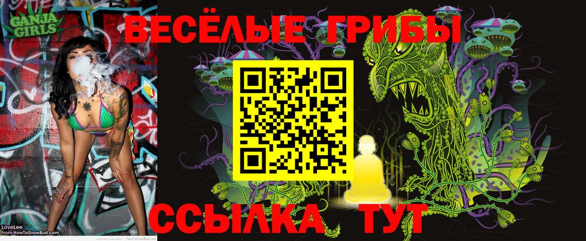 Качканар  Псилоцибиновые грибы Psilocybe  Вход с VPN 