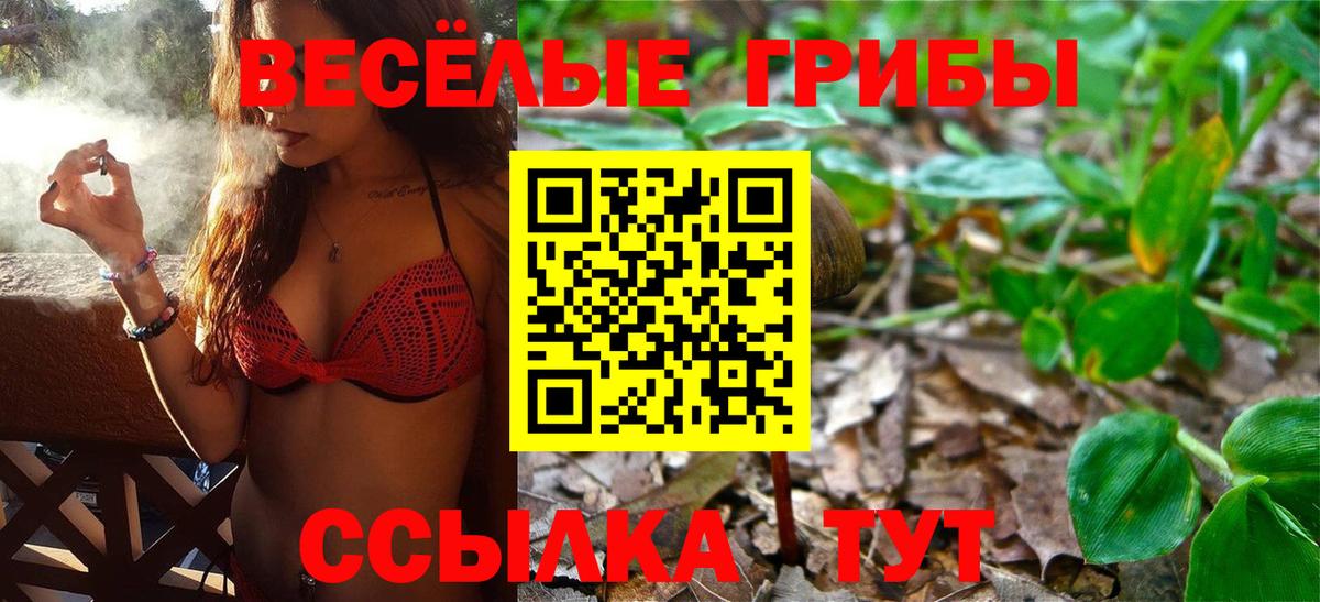 Галлюциногенные грибы MAGIC MUSHROOMS Качканар