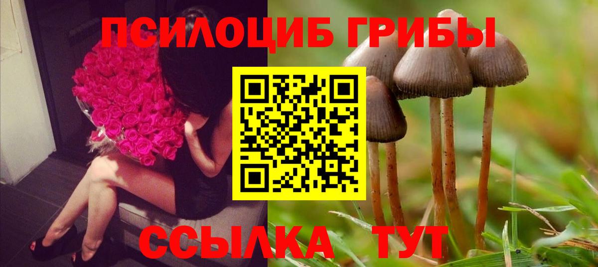 Галлюциногенные грибы мухоморы  Качканар  Галлюциногенные грибы Magic Shrooms 